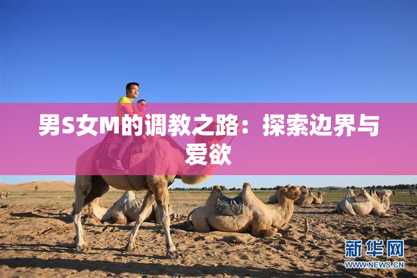 男S女M的调教之路：探索边界与爱欲