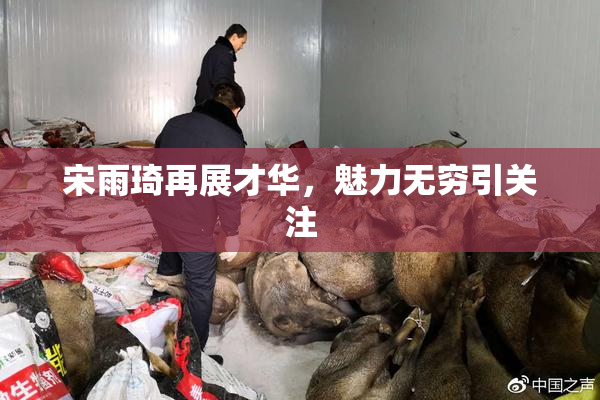 宋雨琦再展才华，魅力无穷引关注