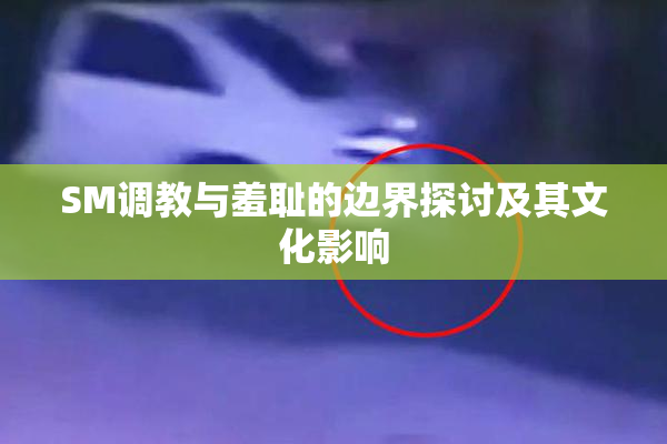 SM调教与羞耻的边界探讨及其文化影响