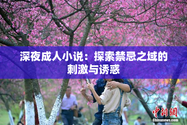深夜成人小说：探索禁忌之域的刺激与诱惑