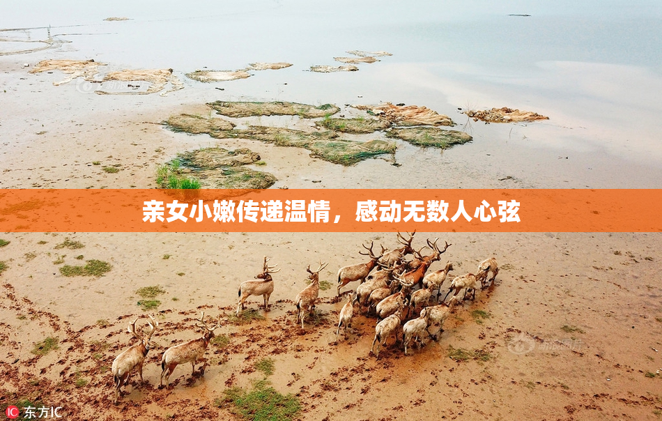 亲女小嫩传递温情，感动无数人心弦