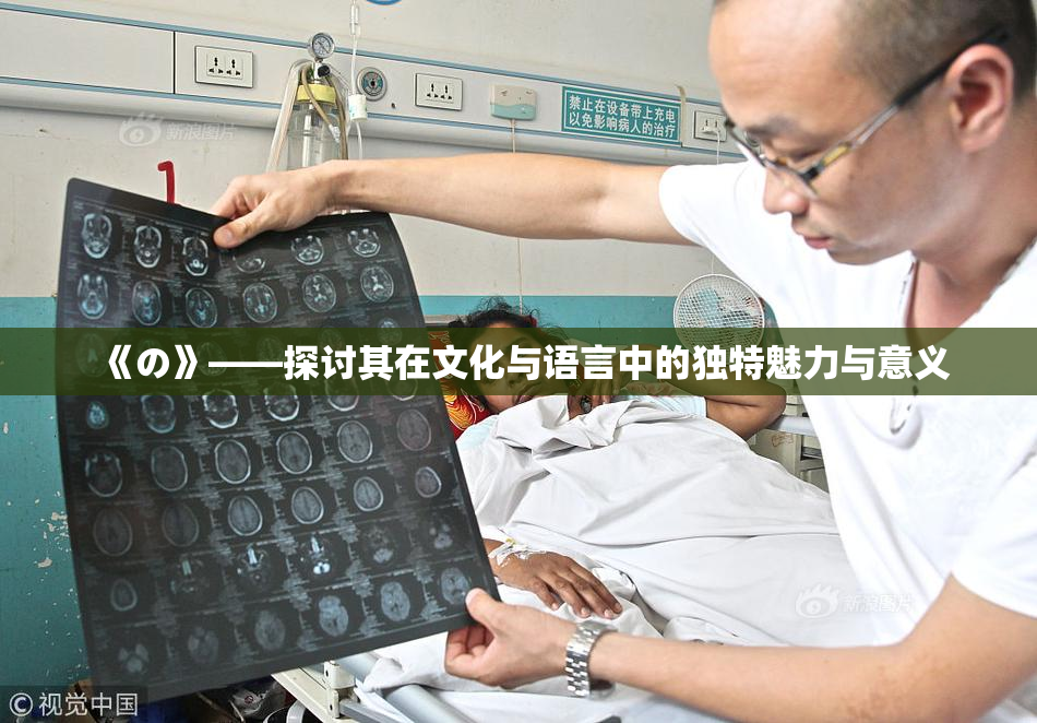 《の》——探讨其在文化与语言中的独特魅力与意义
