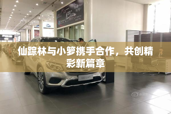 仙踪林与小箩携手合作，共创精彩新篇章