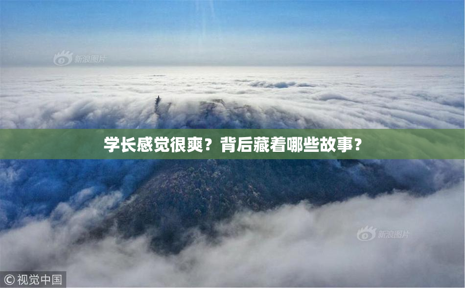 学长感觉很爽？背后藏着哪些故事？