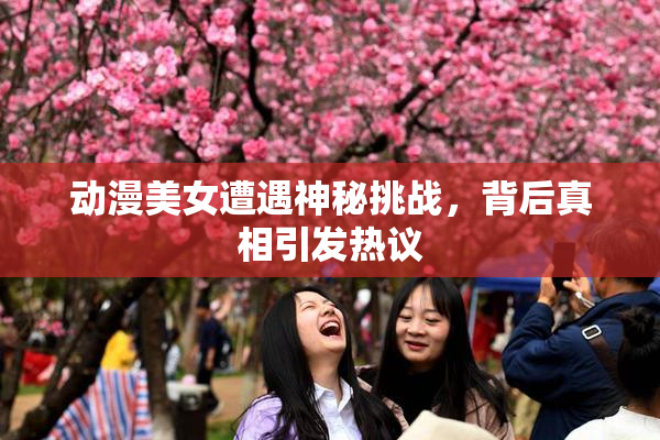 动漫美女遭遇神秘挑战，背后真相引发热议