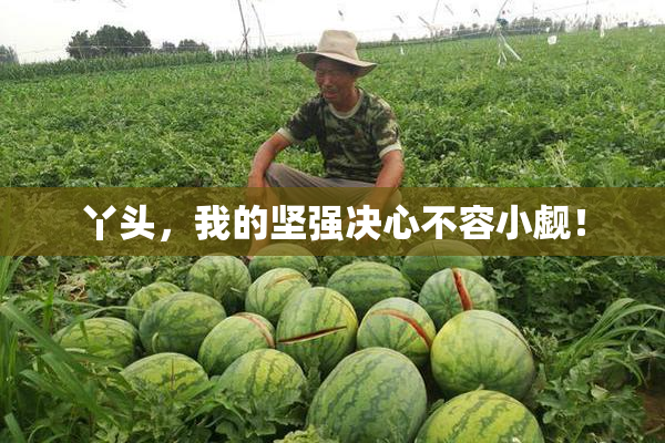 丫头，我的坚强决心不容小觑！