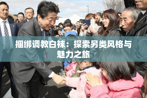 捆绑调教白袜：探索另类风格与魅力之旅