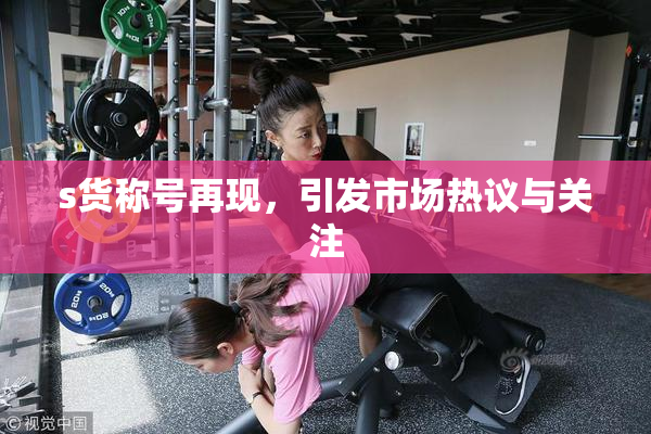 s货称号再现，引发市场热议与关注