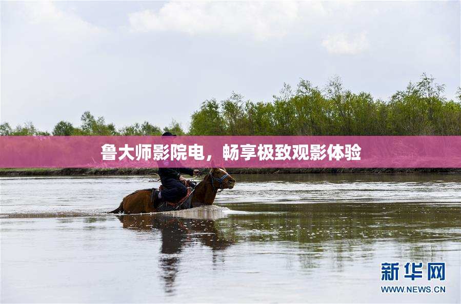 鲁大师影院电，畅享极致观影体验