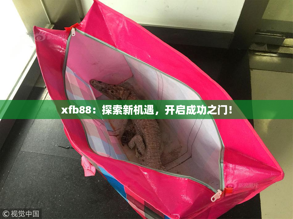 xfb88：探索新机遇，开启成功之门！