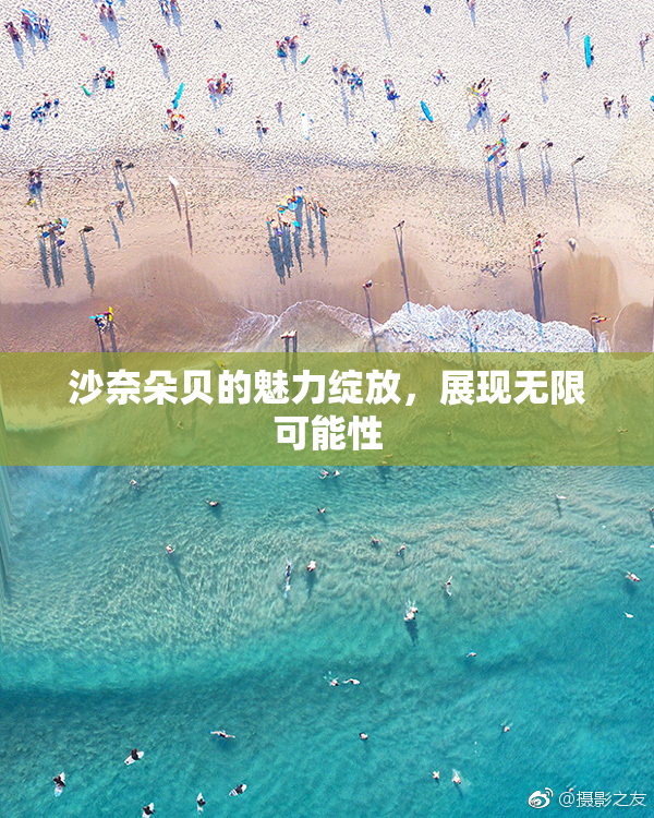 沙奈朵贝的魅力绽放，展现无限可能性