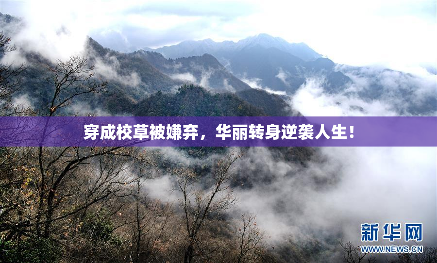 穿成校草被嫌弃，华丽转身逆袭人生！