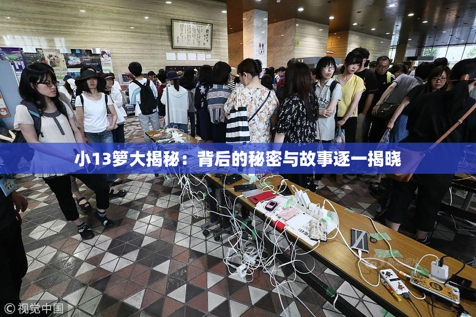 小13箩大揭秘：背后的秘密与故事逐一揭晓
