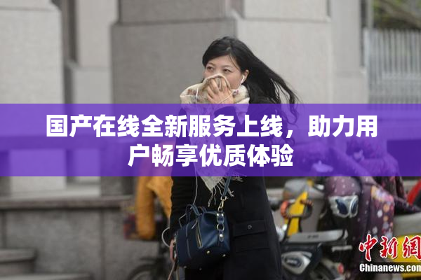 国产在线全新服务上线，助力用户畅享优质体验