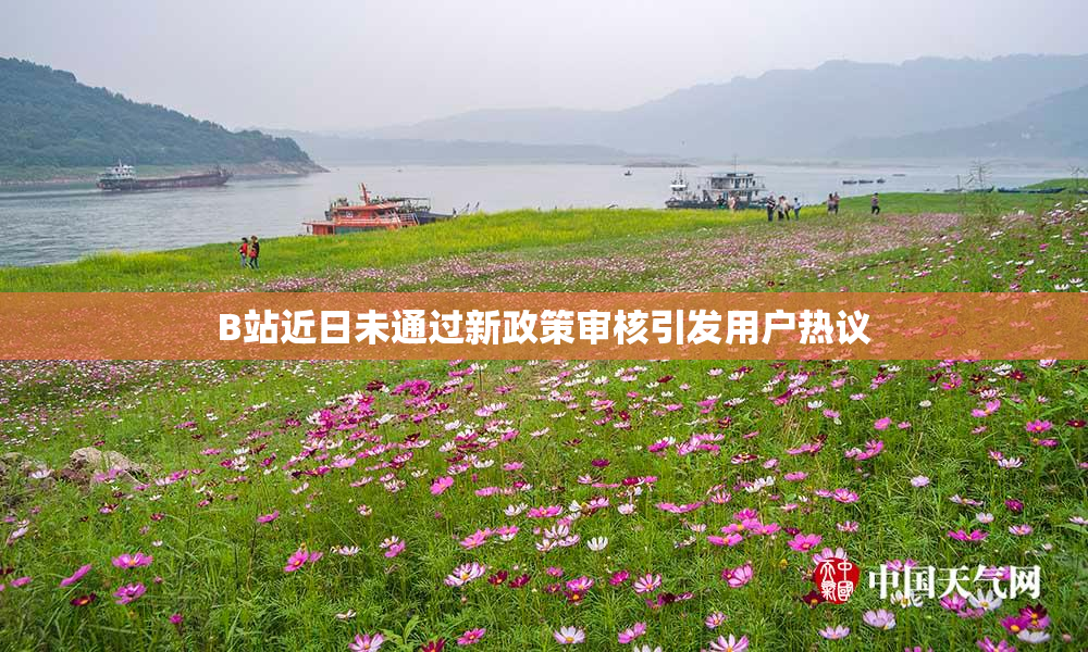 B站近日未通过新政策审核引发用户热议