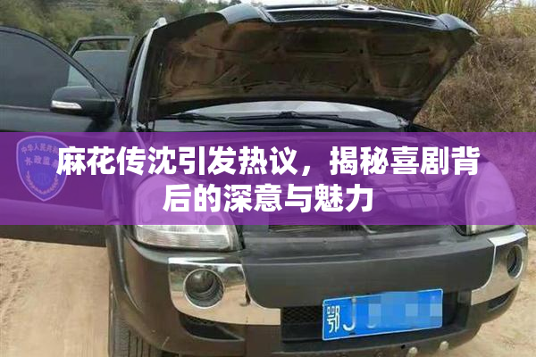 麻花传沈引发热议，揭秘喜剧背后的深意与魅力