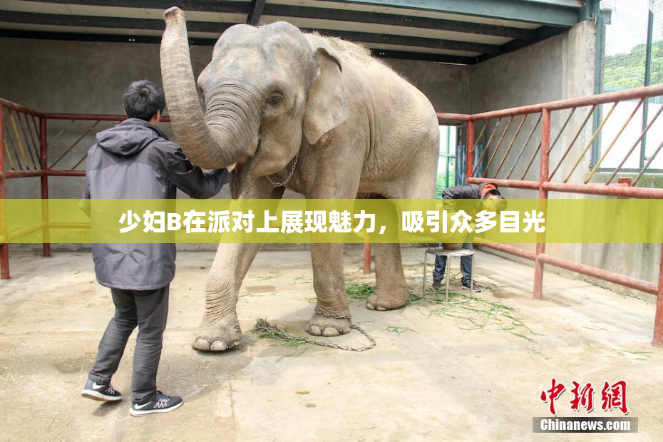 少妇B在派对上展现魅力，吸引众多目光