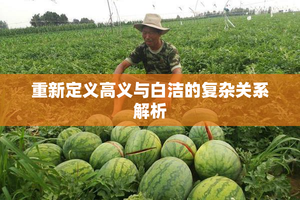 重新定义高义与白洁的复杂关系解析