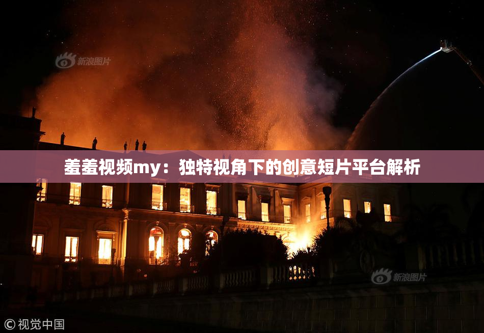 羞羞视频my：独特视角下的创意短片平台解析