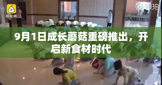 9月1日成长蘑菇重磅推出，开启新食材时代