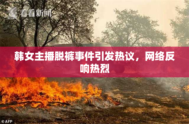 韩女主播脱裤事件引发热议，网络反响热烈