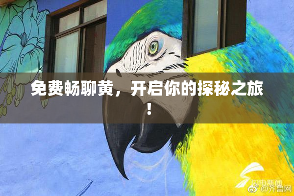 免费畅聊黄，开启你的探秘之旅！