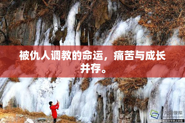 被仇人调教的命运，痛苦与成长并存。