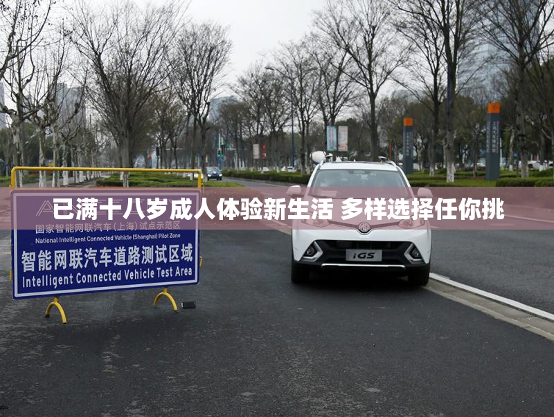 已满十八岁成人体验新生活 多样选择任你挑