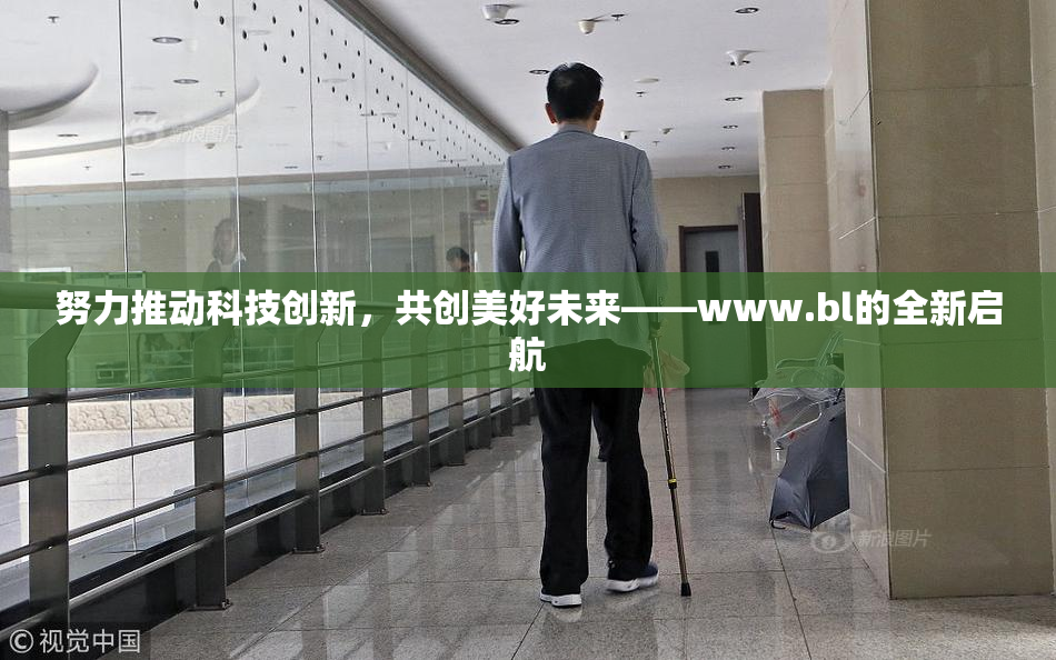 努力推动科技创新，共创美好未来——www.bl的全新启航