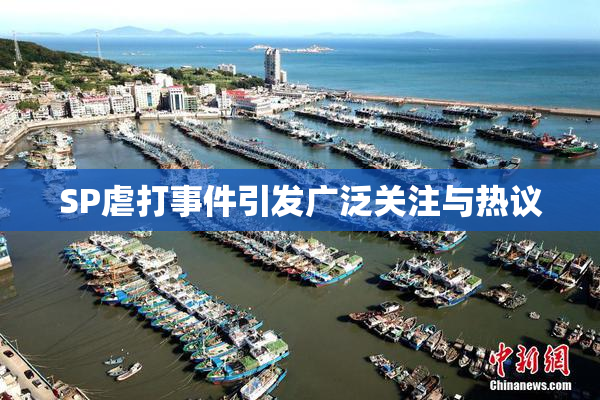 SP虐打事件引发广泛关注与热议