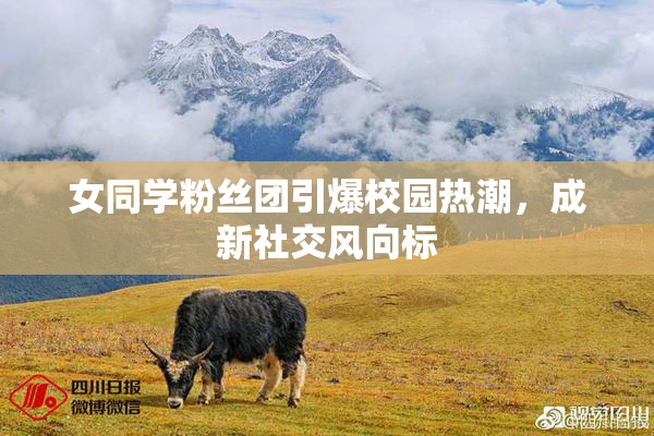 女同学粉丝团引爆校园热潮，成新社交风向标