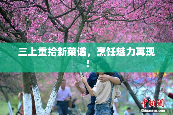 三上重拾新菜谱，烹饪魅力再现！