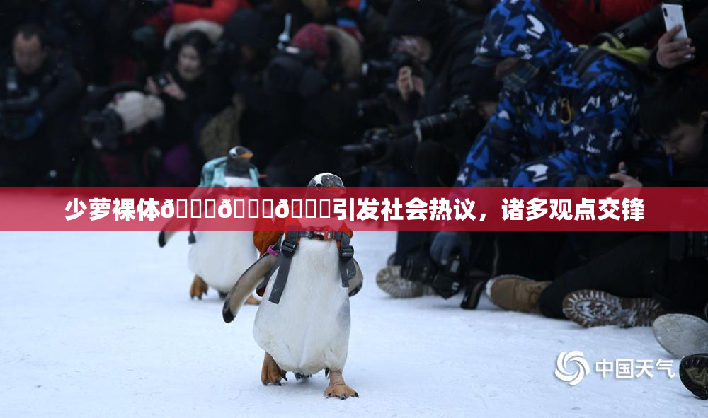 少萝裸体🔞🔞🔞引发社会热议，诸多观点交锋