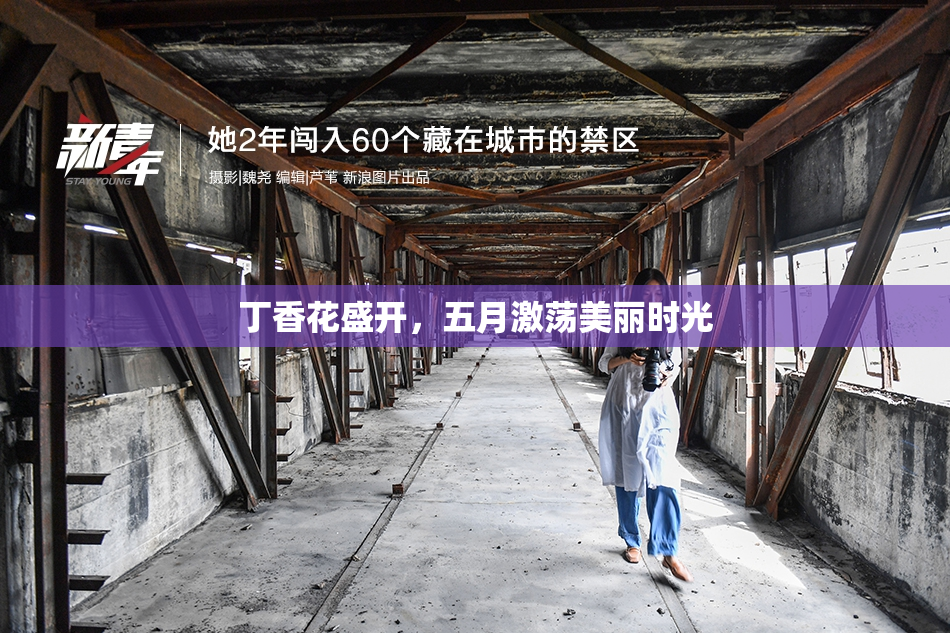 丁香花盛开，五月激荡美丽时光