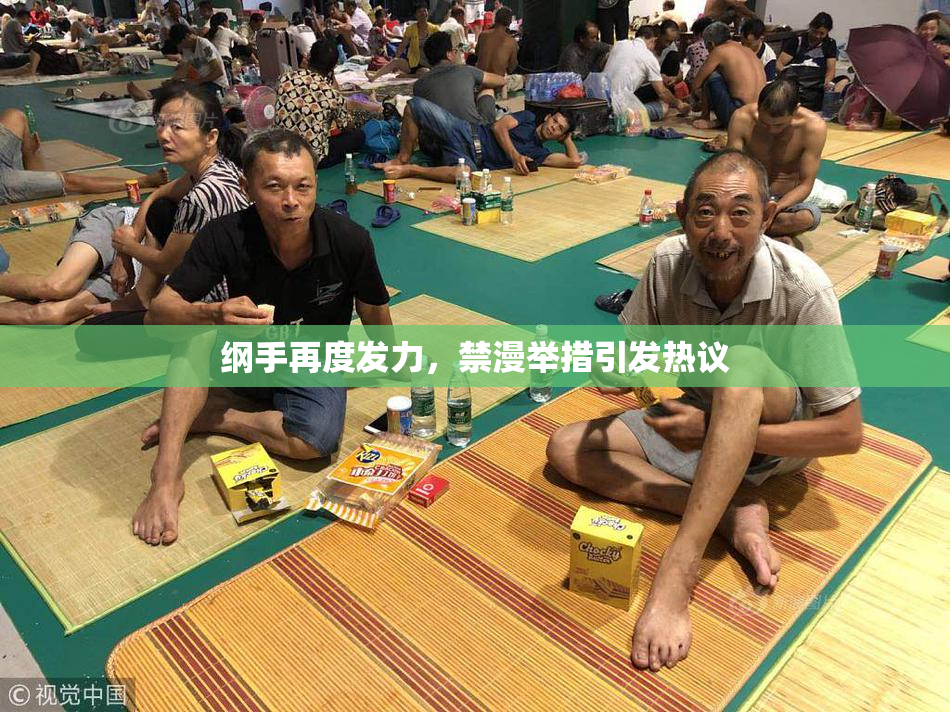 纲手再度发力，禁漫举措引发热议