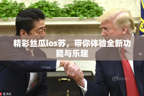 精彩丝瓜ios苏，带你体验全新功能与乐趣