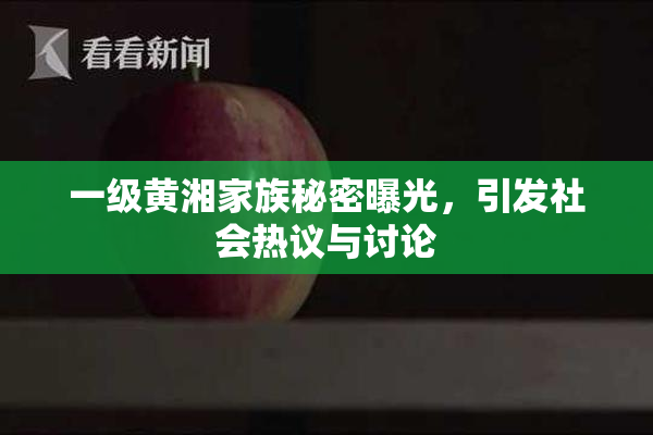 一级黄湘家族秘密曝光，引发社会热议与讨论