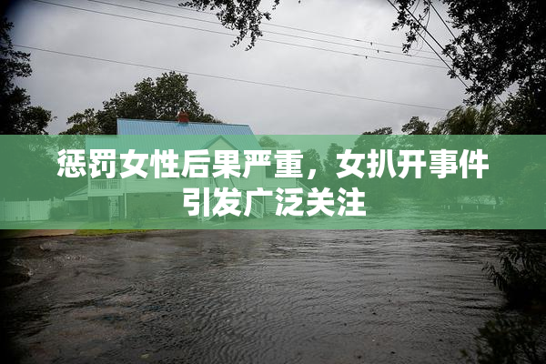 惩罚女性后果严重，女扒开事件引发广泛关注