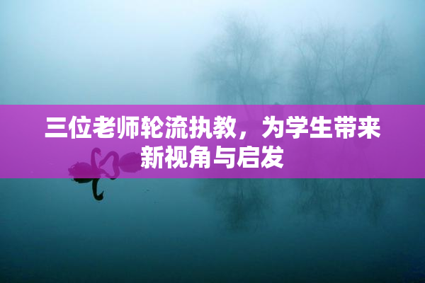 三位老师轮流执教，为学生带来新视角与启发