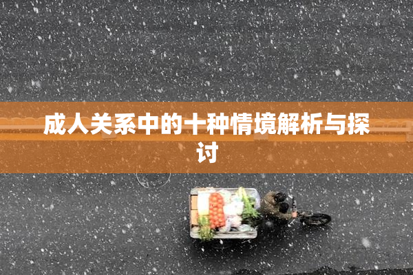 成人关系中的十种情境解析与探讨