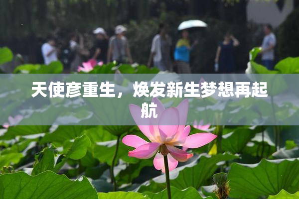 天使彦重生，焕发新生梦想再起航