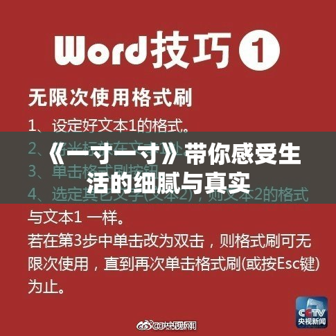 《一寸一寸》带你感受生活的细腻与真实
