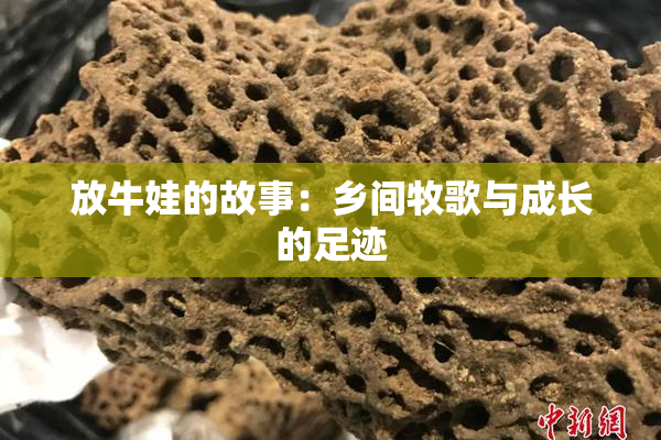 放牛娃的故事：乡间牧歌与成长的足迹