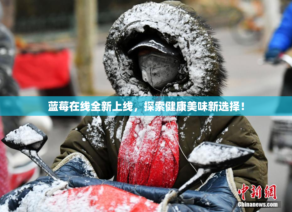 蓝莓在线全新上线，探索健康美味新选择！