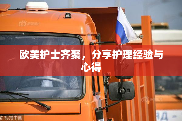 欧美护士齐聚，分享护理经验与心得