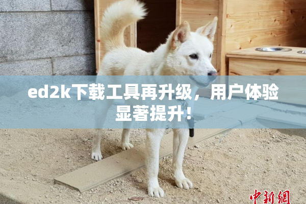 ed2k下载工具再升级，用户体验显著提升！