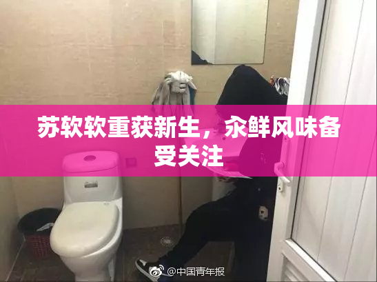 苏软软重获新生，汆鲜风味备受关注