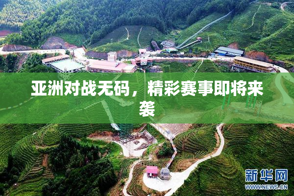 亚洲对战无码，精彩赛事即将来袭