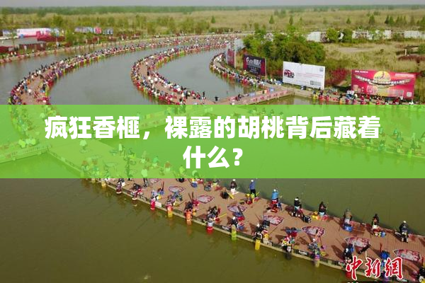 疯狂香榧，裸露的胡桃背后藏着什么？