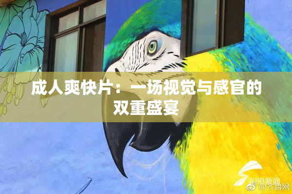成人爽快片：一场视觉与感官的双重盛宴